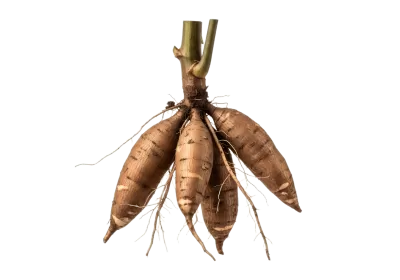 Imagen PNG para descargar